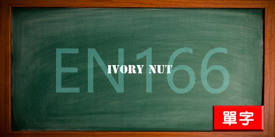 uploads/ivory nut.jpg